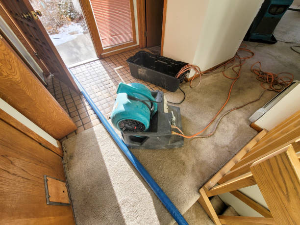 Best Flood restoration services  in Little Rock, AR