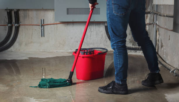 Best 24-hour water damage restoration  in Little Rock, AR