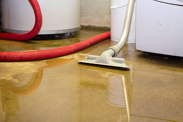 Best Flood damage cleanup  in Little Rock, AR