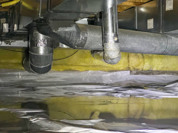 Best Professional water damage repair  in Little Rock, AR
