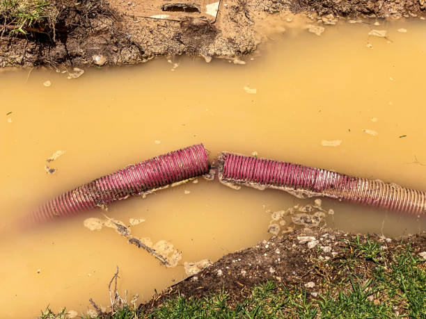 Best Mold removal after water damage  in Little Rock, AR